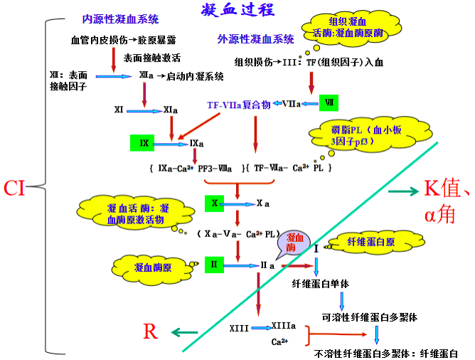 血栓弹力图 阿司匹林图片