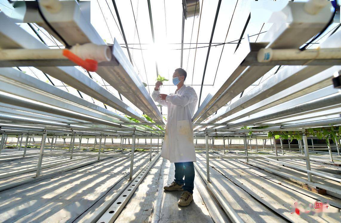 现代科技赋能智慧农业