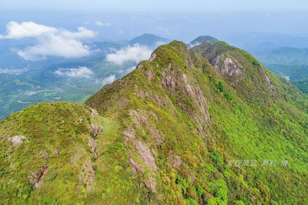 有人说大龙山在南岭最为低调,却拥有广东最壮美山脊线!