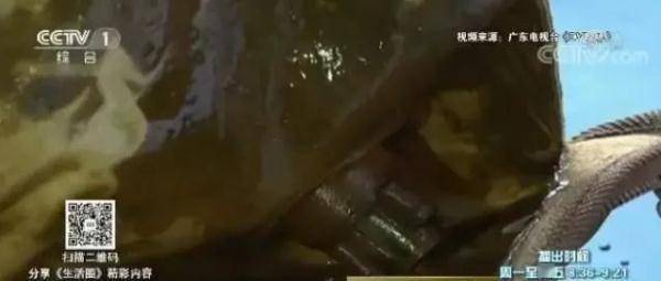 火光四溅！这款“冬日神器”险酿大祸！学生拍下寝室惊人一幕！