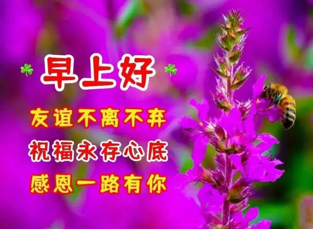 最美冬天風景早上好祝福圖片帶字溫馨聊天不用打字的早上好祝福語圖片