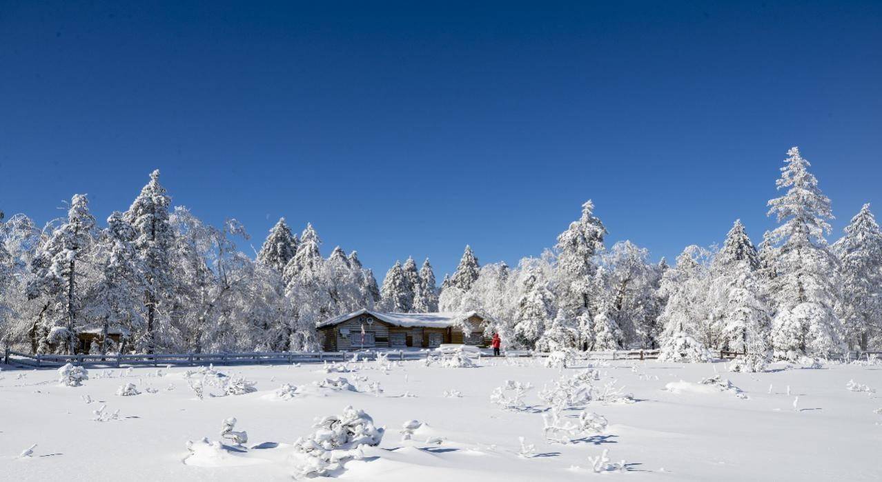 景区|雪深超一米 凤凰山高山雪原“风姿”初现