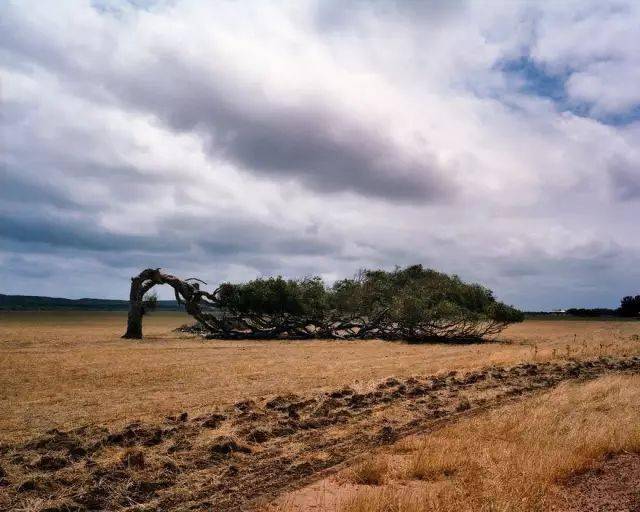 trent parkeharry gruyaertrichard kalvarrene burrichris steele