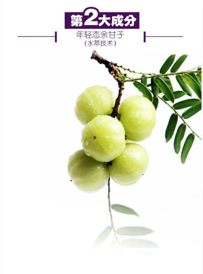余甘拍1发10：美白饮清货最后几十组！