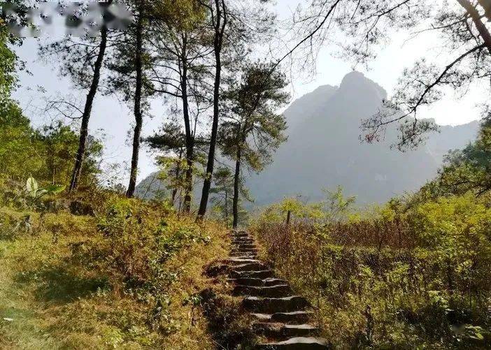 秘境清远探秘千年秦汉古道穿越历史的时光阳山水口石林古道1天