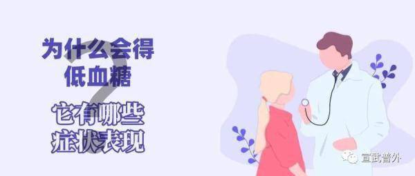 功能|低血糖是什么鬼？