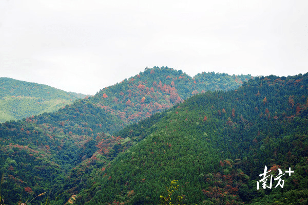 始兴北山景点图片