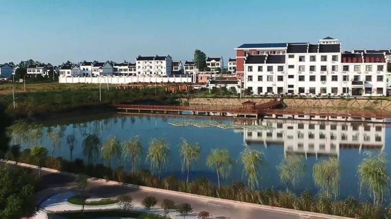 第二批全国乡村治理示范村湖北省武汉市新洲区仓埠街道项山村