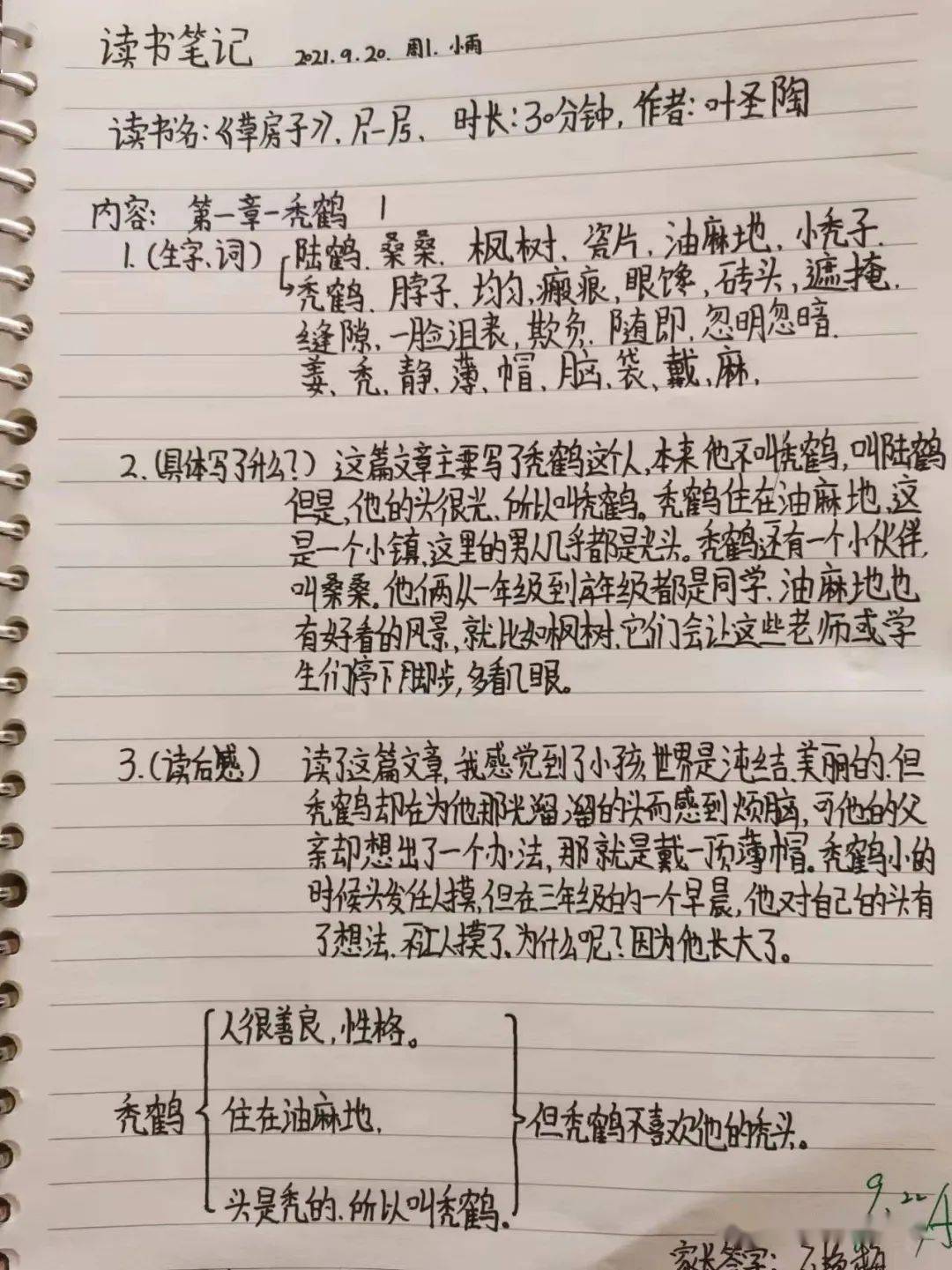 兄弟俩的读后感图片