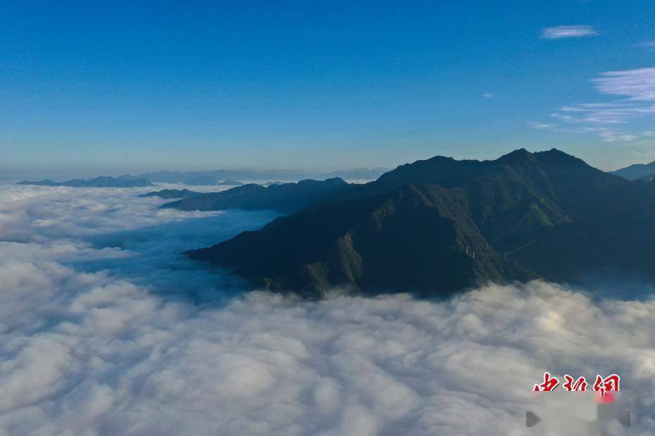 浙江|浙江景宁：壮丽云海入画来