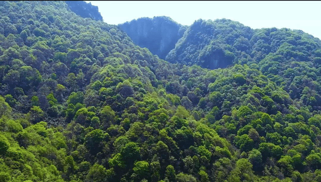 魅力|美景持续霸屏，这个冬季一定要来这一趟！