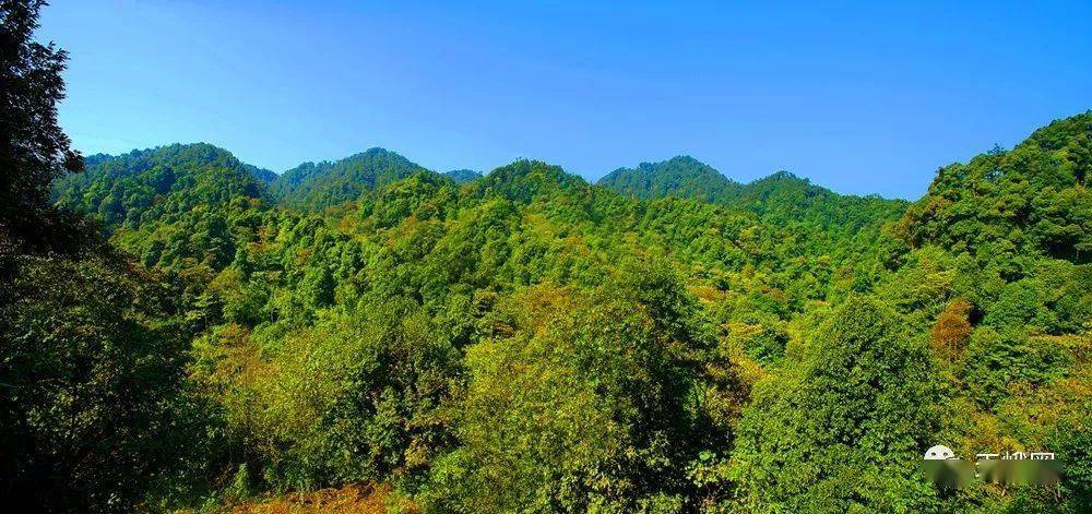 广西天峨县的五个世界之最你都知道么
