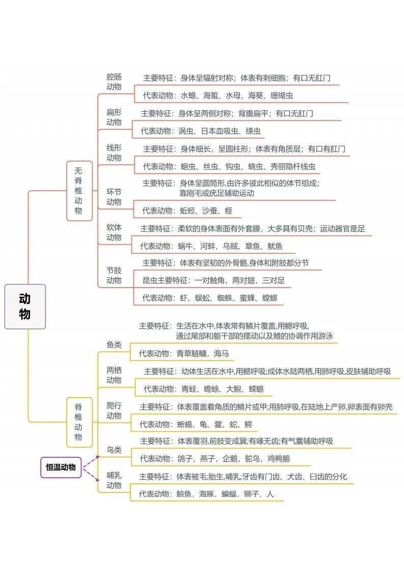 了然|初中生物全册思维导图总结，所有必考点一目 了然！