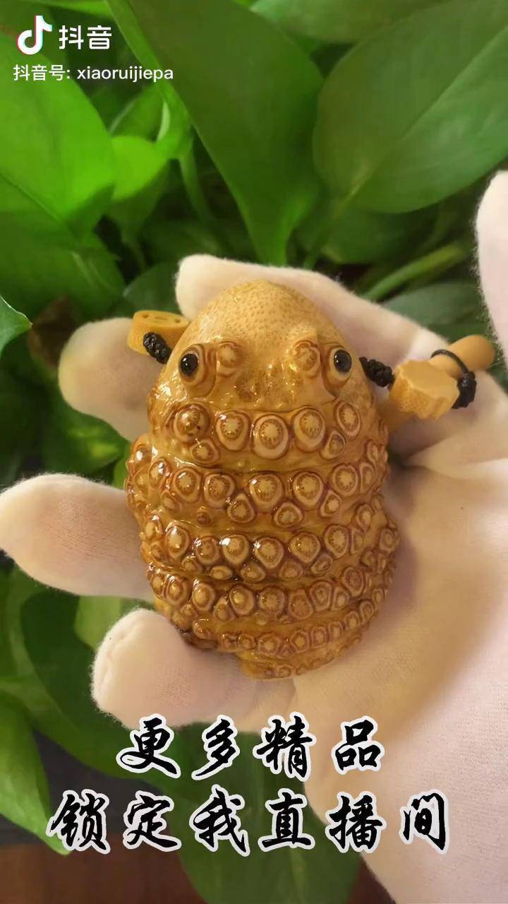小金蟾超可爱