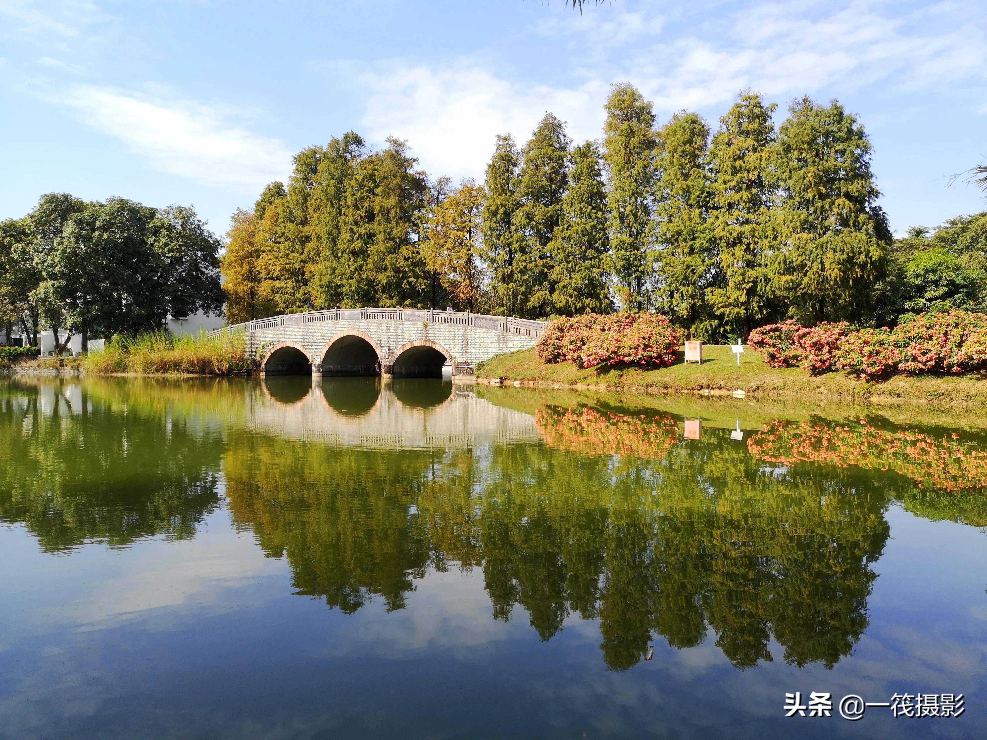 华南植物园图片景点图片