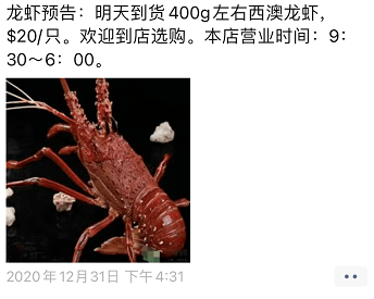 澳洲大龙虾价格暴跌, 至6年最低! 供货太多售价砍半, 根本吃不完