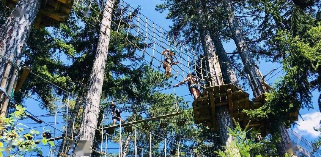 人心花怒放近来渐渐回暖的的好天气经历了突如其来的降温南京紫金山探