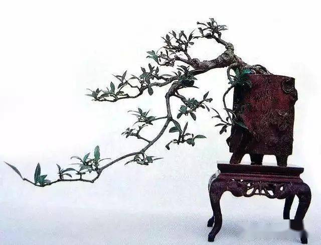 水横枝,禅意枝_作品