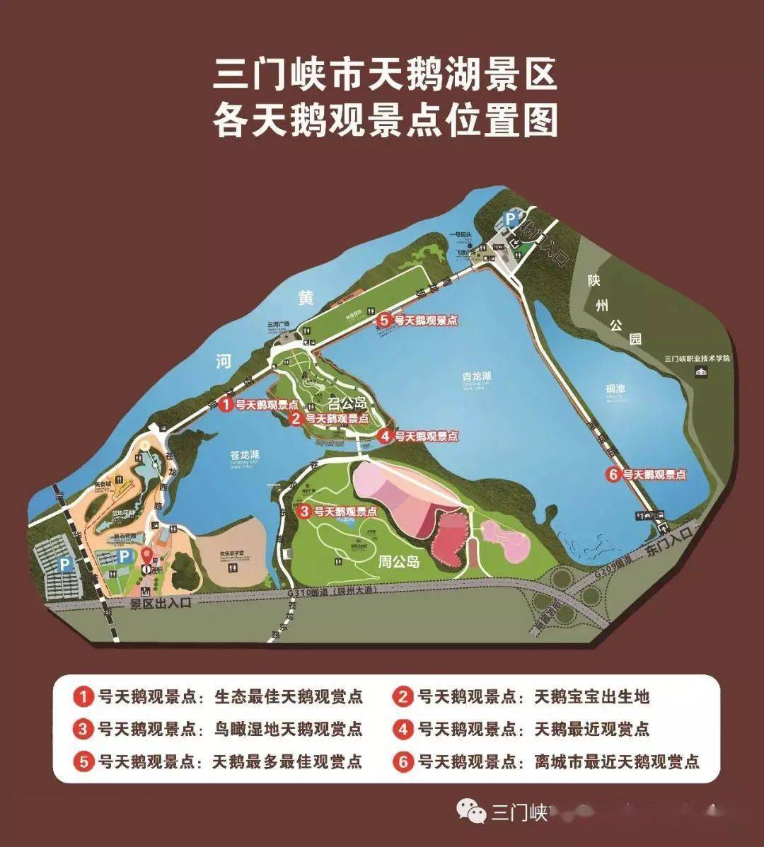 三门峡市天鹅湖国家城市湿地公园2021年11月18日天鹅数量及分布情况