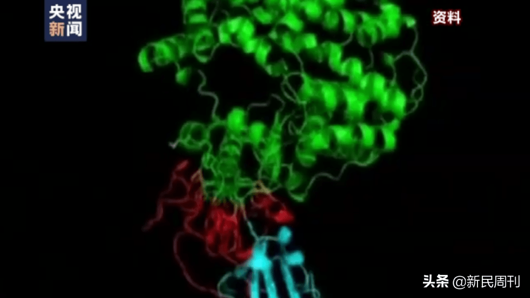 病毒|中国研发新冠特效药有望年底上市