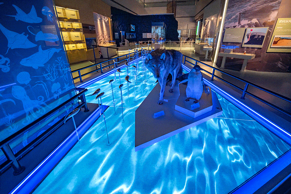 【直播预告】报名参与直播上镜,探秘中海博全新"海洋展区"!_活动