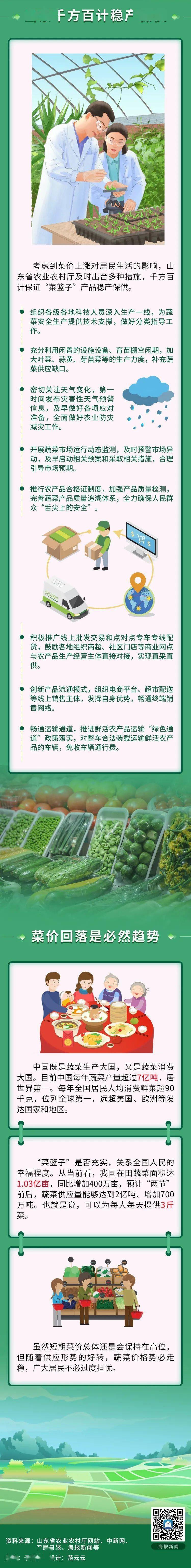 山东这就是山东丨菜价回落，山东付出了哪些努力？