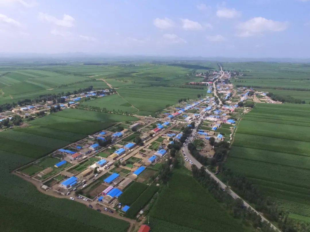 洮南市万宝镇西太平村乡村振兴有路径小米种出亿元村