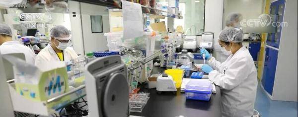 疫苗|新闻观察： 中国积极推进多路径新冠肺炎药物研发