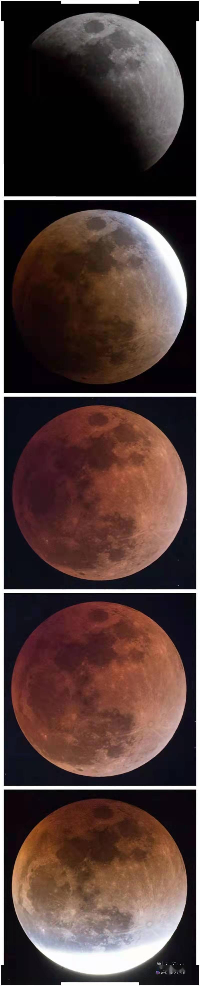 “天狗食月”来了，专业人士带你解锁拍摄月食的正确姿势