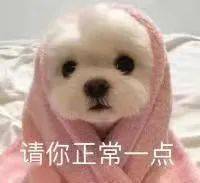 瞬间|【聊天室】生活中那些九死一生的瞬间，真·离当场去世就差那么点！