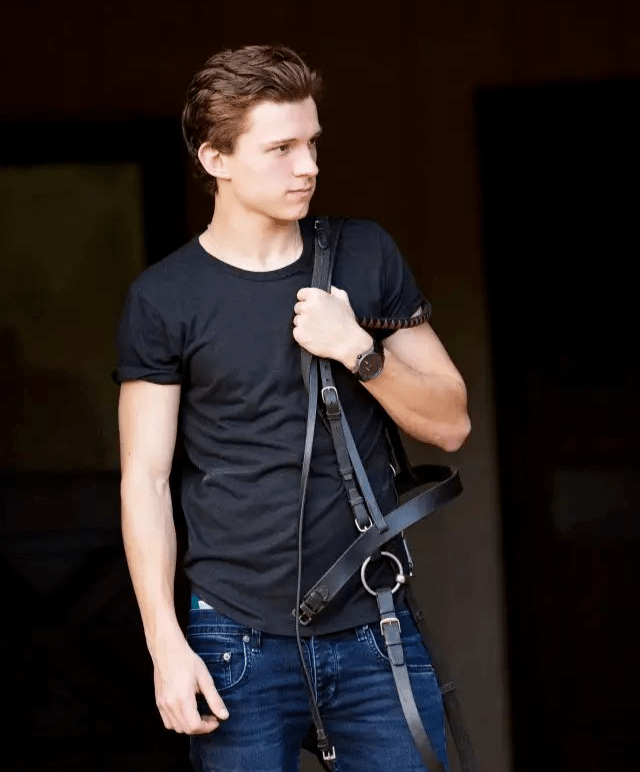 角色|传荷兰弟获得漫威力捧，会从荷兰弟一直演到荷兰大爷！