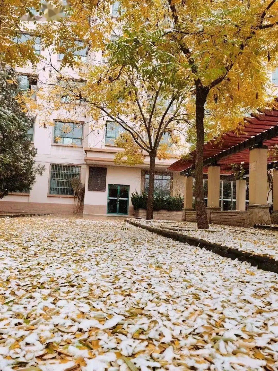 美爆了冬季校园大片来袭你最爱哪一张