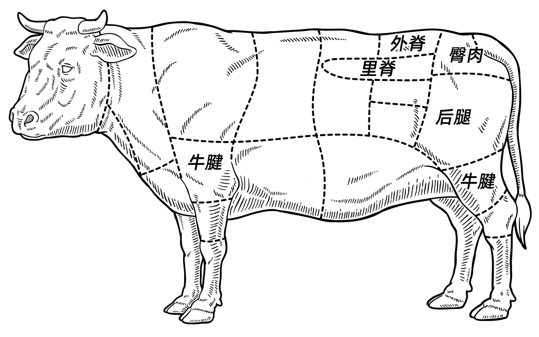 牙没了都想嚼扒了100款牛肉干我们推荐这5款