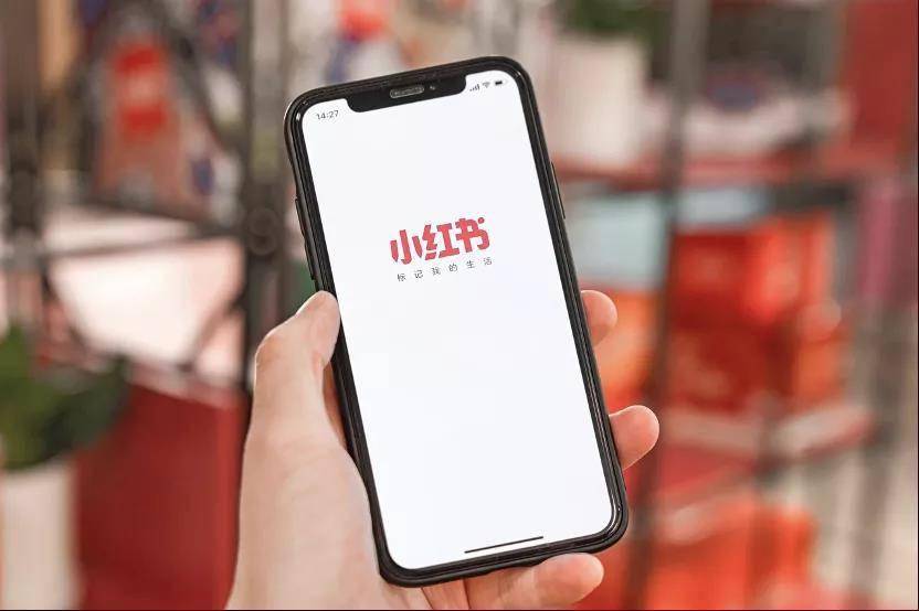 小红书半年处置8787篇炫富笔记