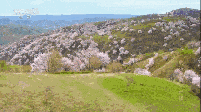 营养|【992 | 好物】冬季天气干燥，喝水时加点这个，嗓子舒服，肠胃轻松！
