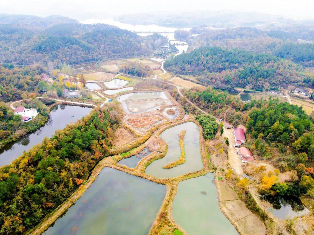 府河镇枣树坳村奏响渔业圆舞曲