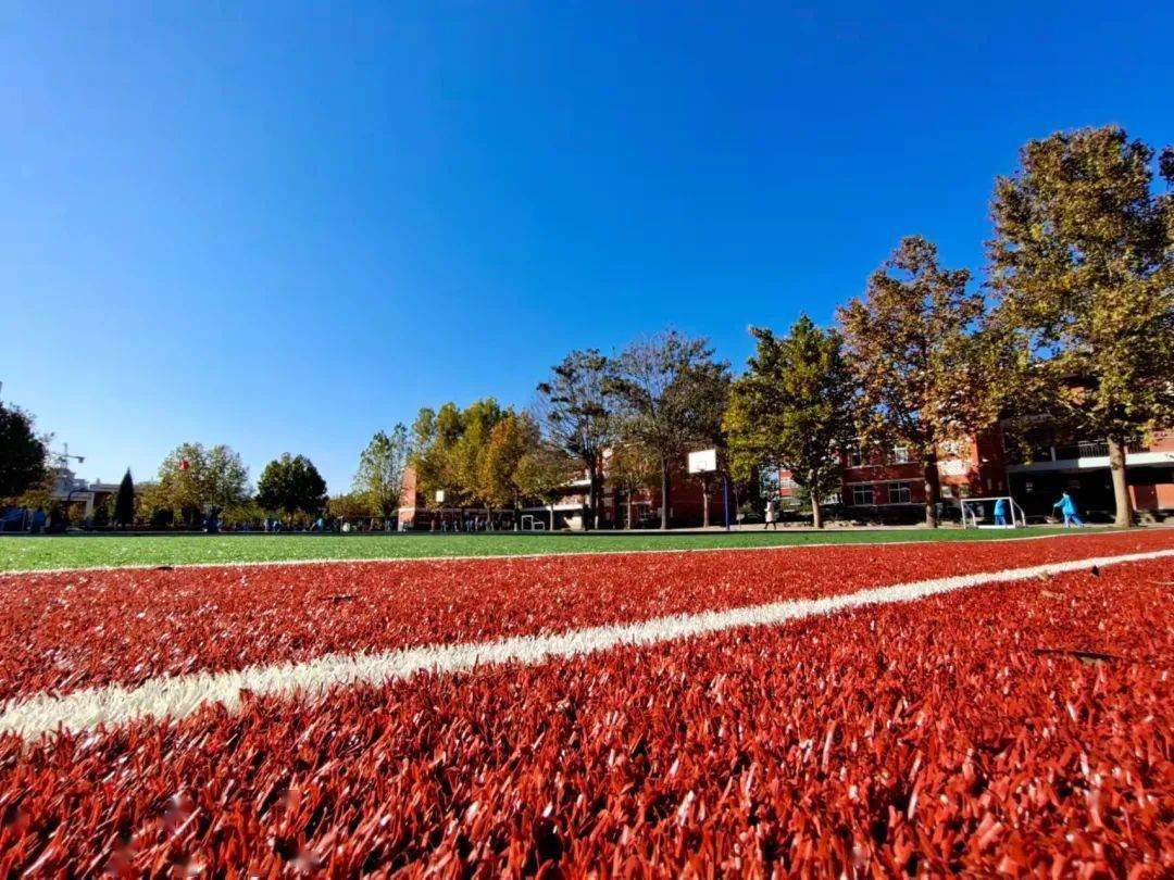 自立自强,伴我成长