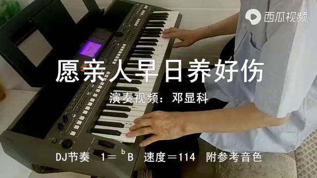 农民电子琴dj版愿亲人早日养好伤拥军爱民军民团结一家亲