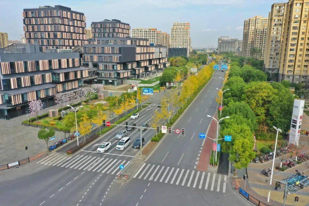 与古色楼台相映衬 地址:上海市奉贤区南桥镇解放中路220号 望园路 从