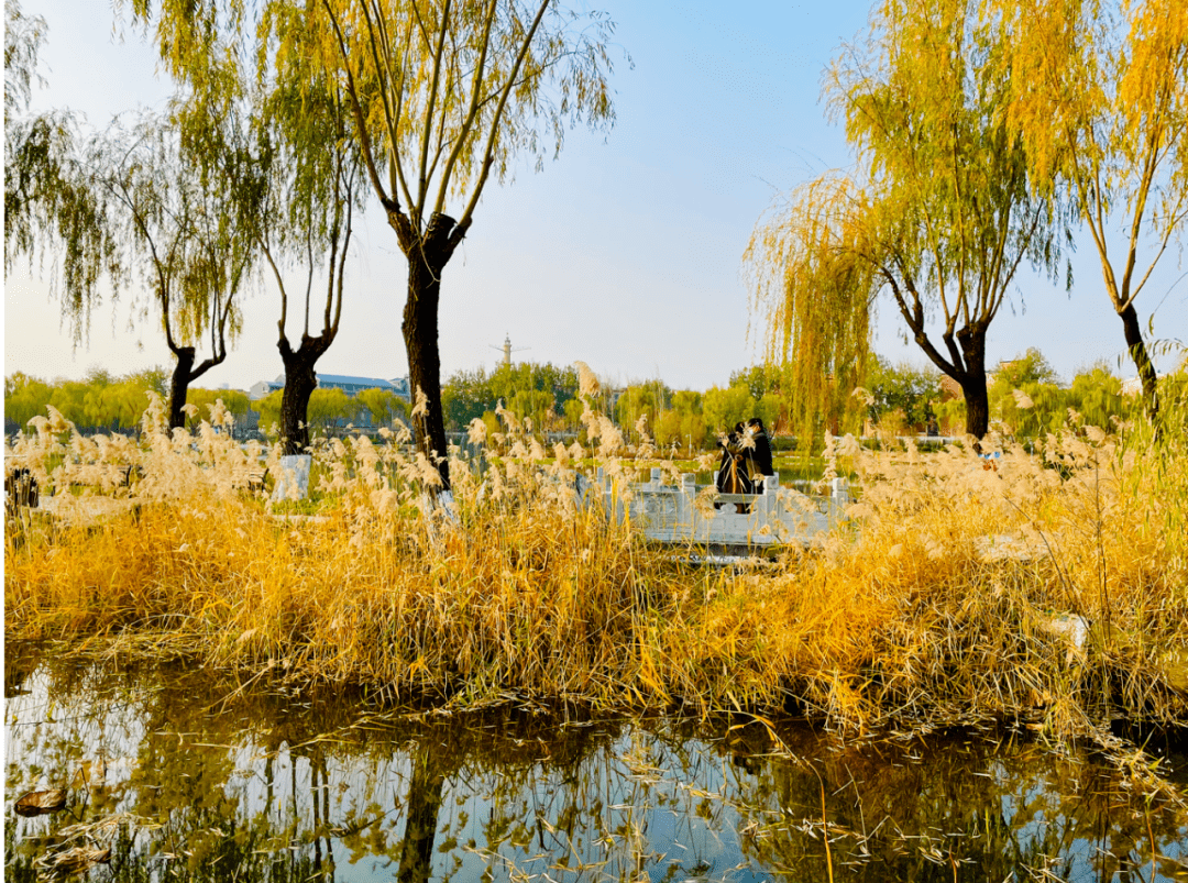 龙潭西湖公园恢复开园！去看看和记忆中有什么不一样吧！