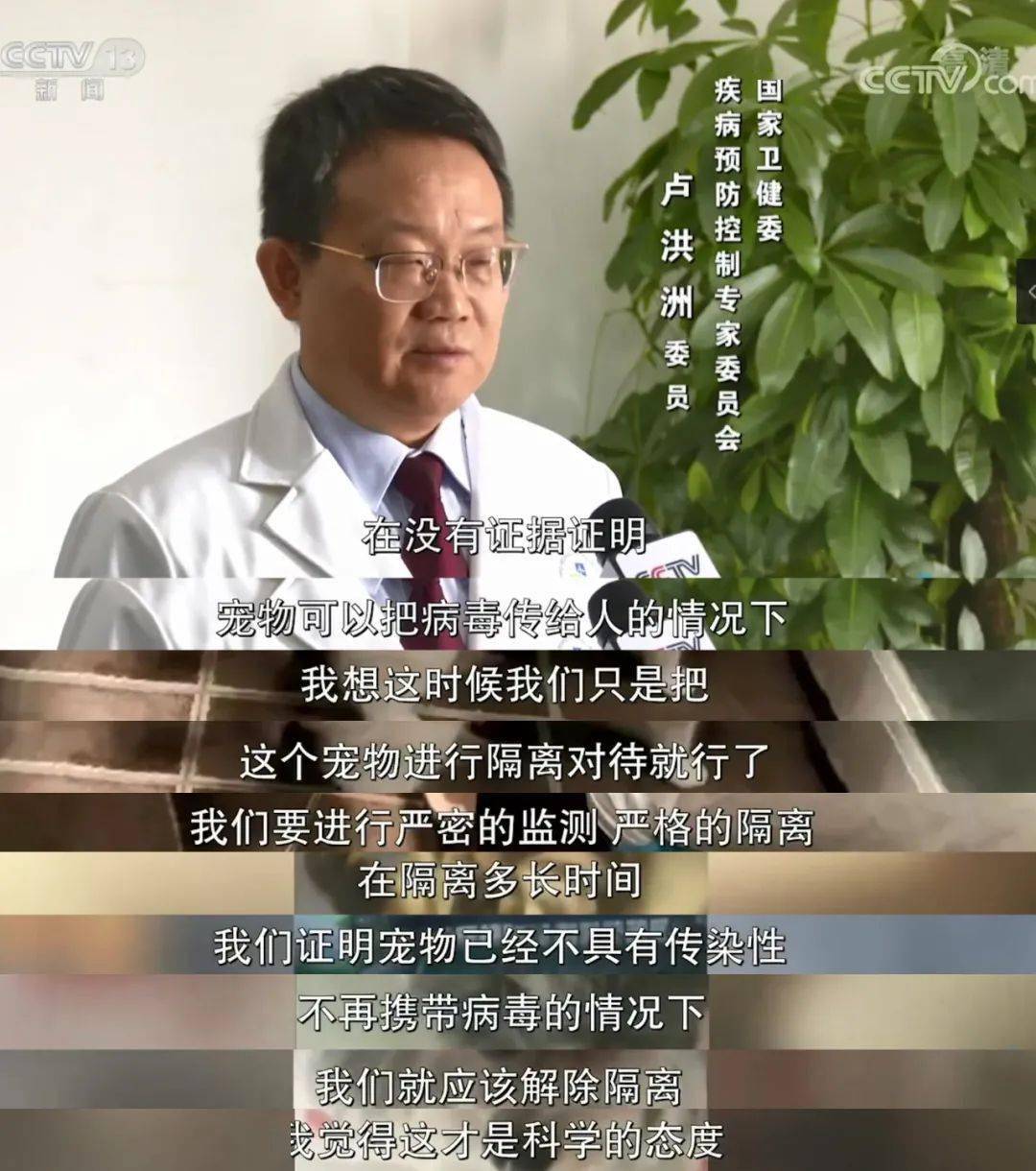 传染给柯基“炒粉”上了央视新闻，卫健委专家明确表示...