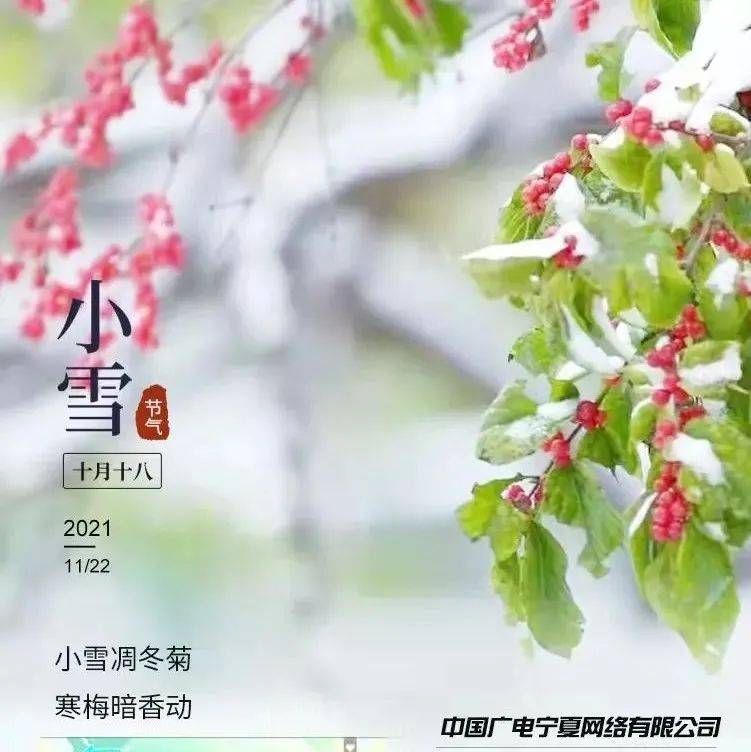 节气 |今日小雪：岁暮天寒，小雪已至，添衣保暖，顺问冬安！_天气