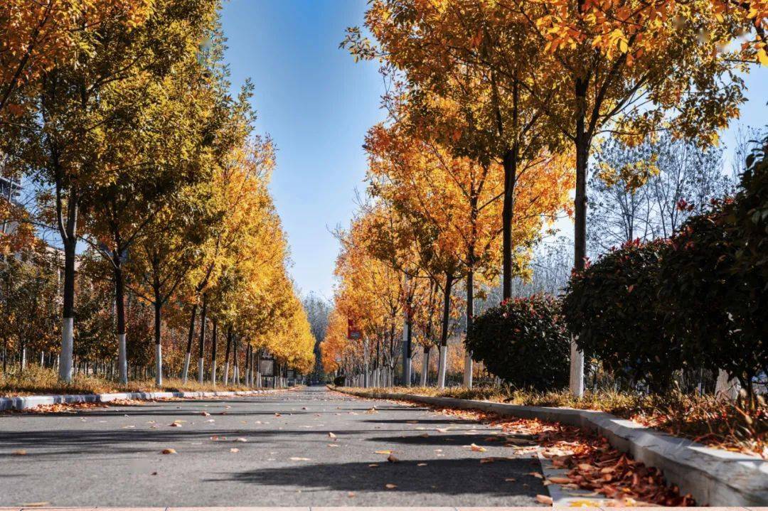 大美邳州孙伟摄影作品欣赏