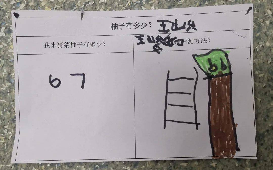 活动|“柚”园会来啦!下沙这个幼儿园举办一场大型柚子party,好吃又好玩,收获满满......