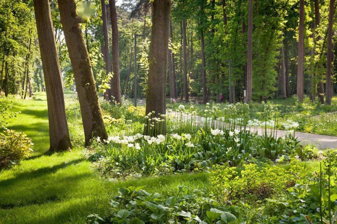 森林公园灵感参考