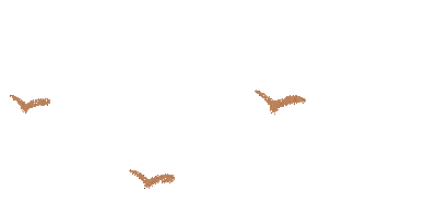 活动|“柚”园会来啦!下沙这个幼儿园举办一场大型柚子party,好吃又好玩,收获满满......