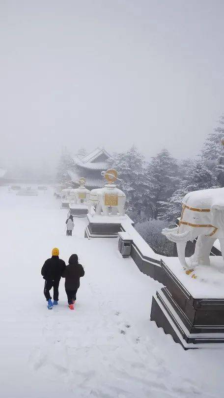 峨眉山地震了吗