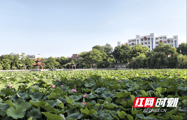 电灯|永州一中党委副书记、副校长金利奇：弘扬节俭美德 做美好一中人