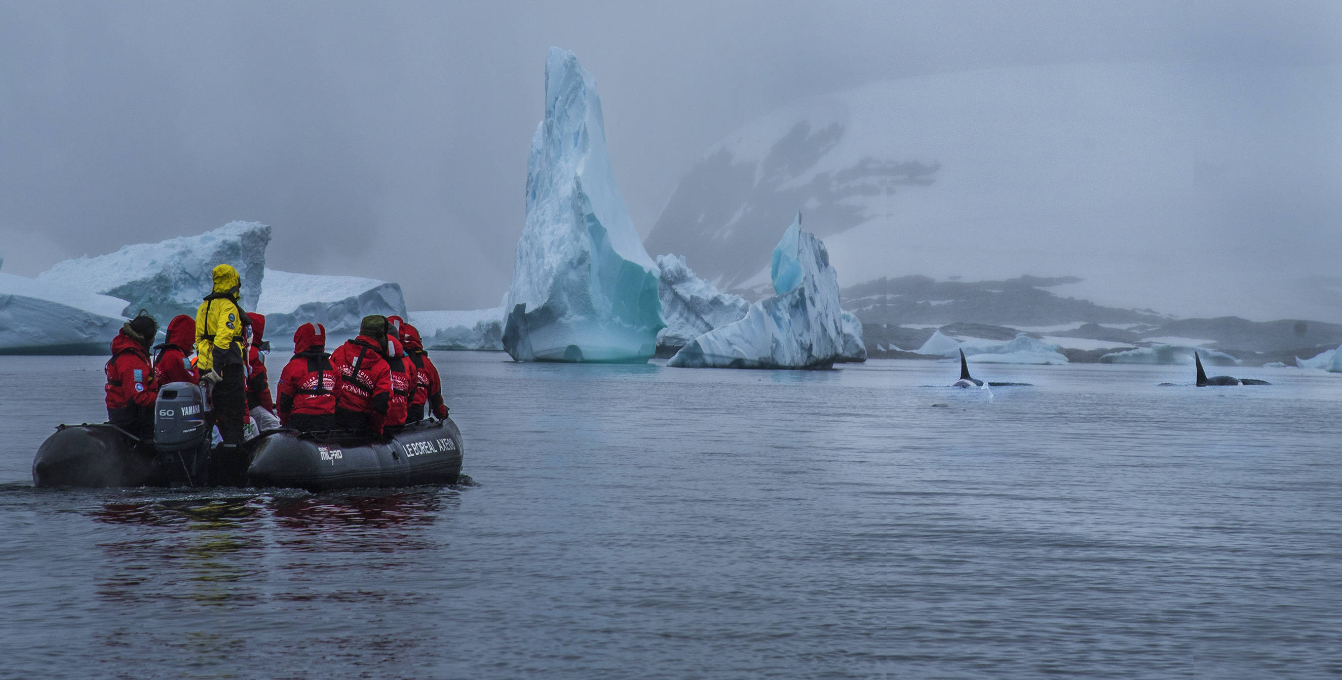 "北京大妈游北极"火了!有梦想,什么时候都不晚
