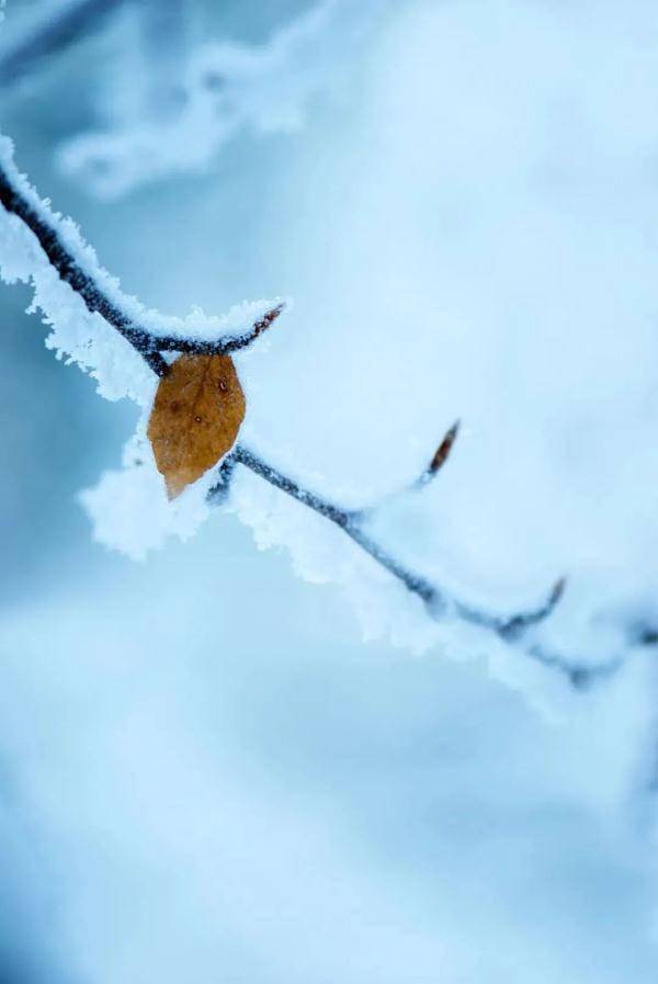 寒而|很应景！江西这里下雪了！